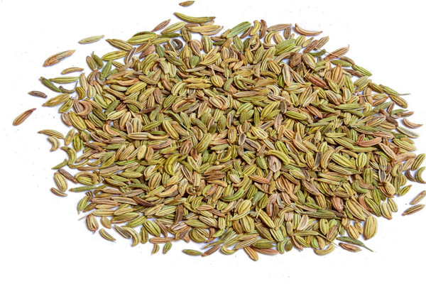 Fennel 5
