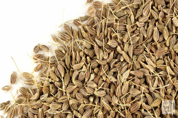 anise-16