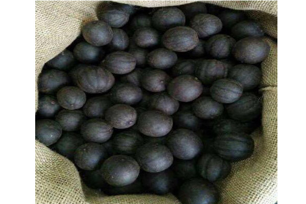 black dried lemon