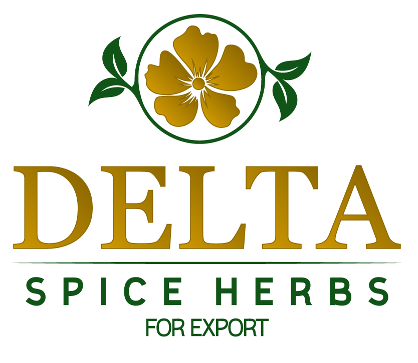cropped-Delta-logo-PNG.png