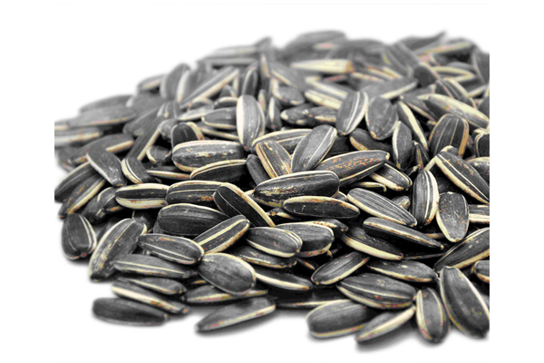sunflower seeds