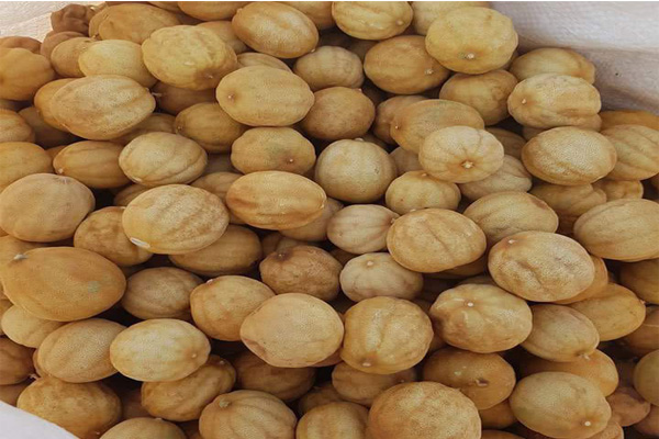 yellow dried lemon